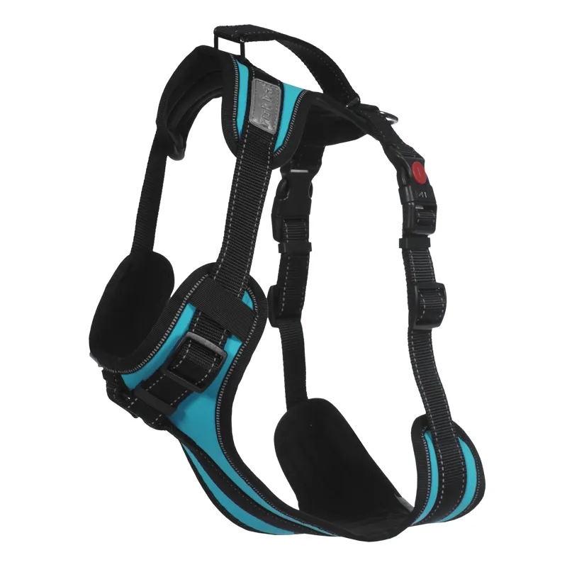 Rukka Solid Harness Turquoise